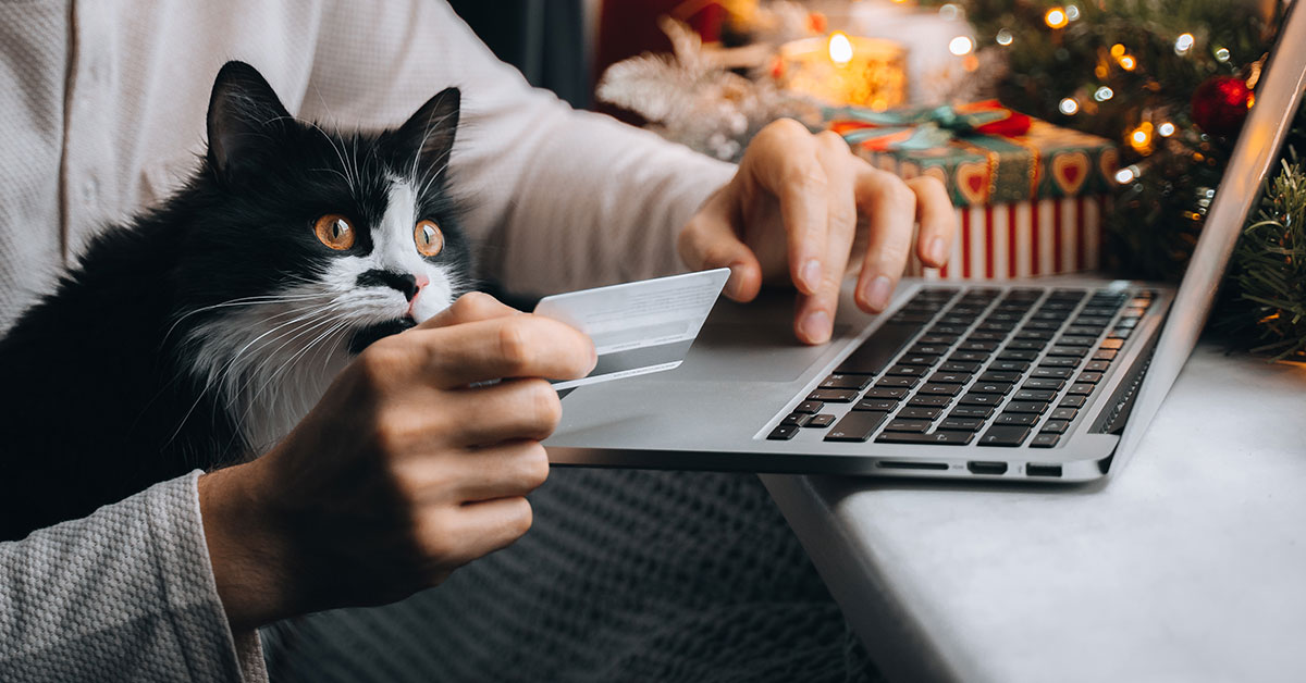 Person uses their credit card to online shop for holiday gifts, with their cat in their lap.