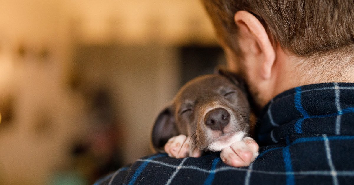 5 Costs to Consider Before Adopting a Pet