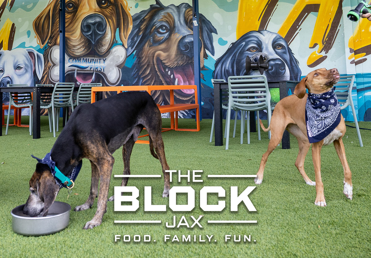 Bark Park Image
