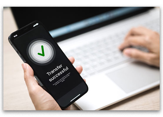Hand Holding Mobile Phone with Successful Transfer Message